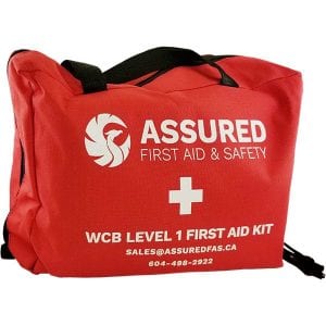 afas_level_1_first_aid_600x600